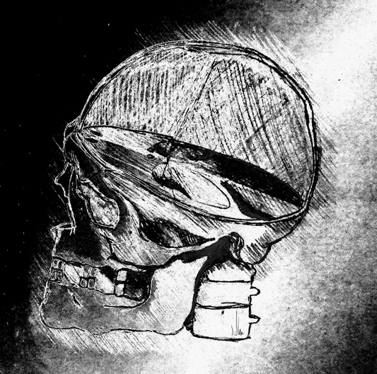 Craneo Leonardo Lavinci